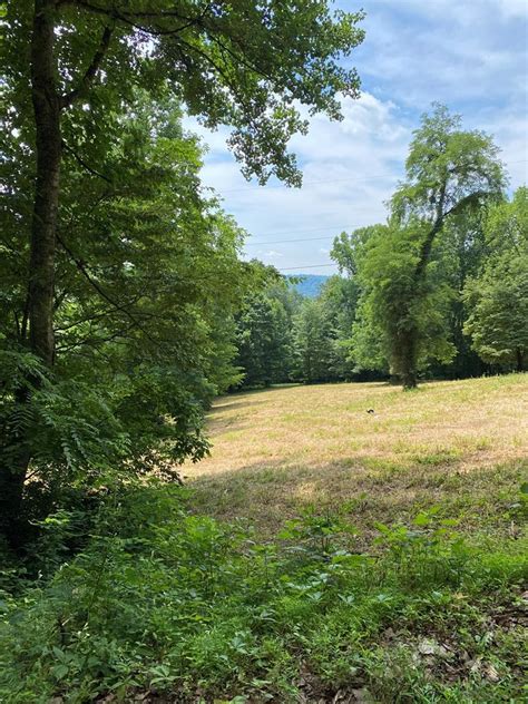 Page 95. . Unrestricted mountain land for sale in tennessee